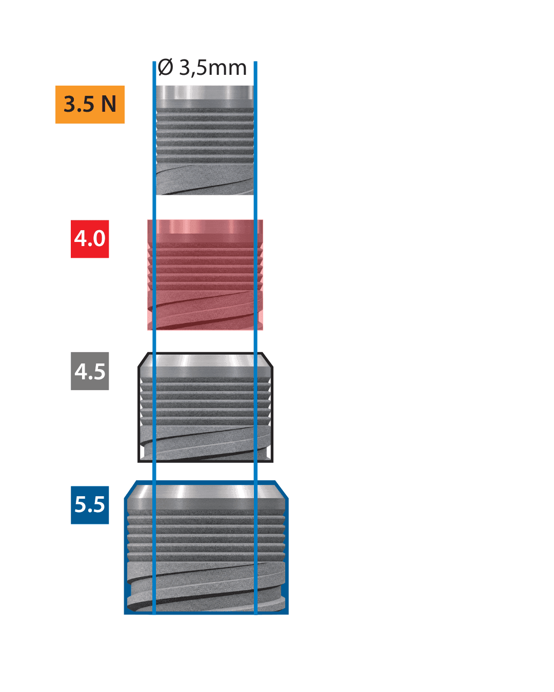 Figura 2.png